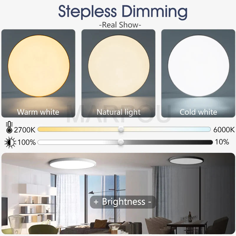 Smart Ceiling Lamp LED