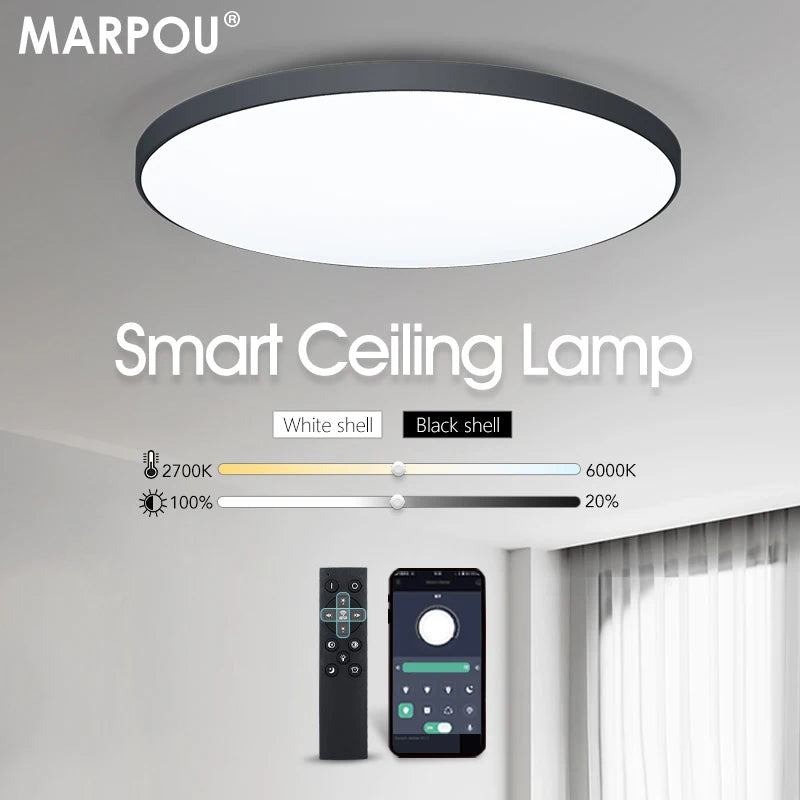 Smart Ceiling Lamp LED