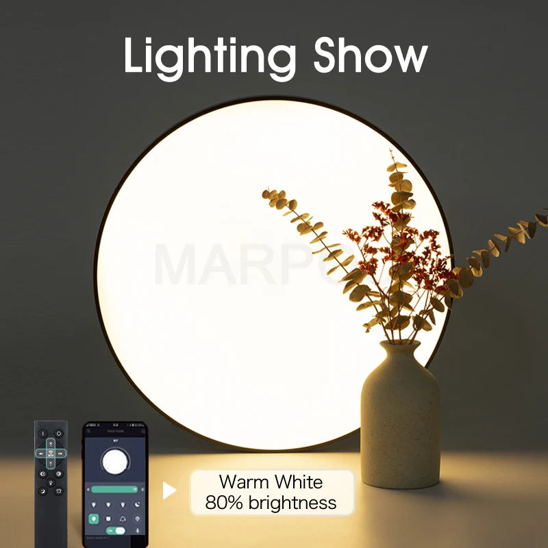 Smart Ceiling Lamp LED